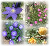 Inspiration Center Flowers