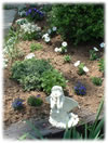 Inspiration Center Front Garden