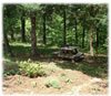 Inspiration Center Picnic Table